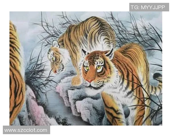 古代足球明星中谁的成就最为卓越影响深远